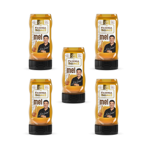 Combo Mel Fores do Campo Bisnaga 300g Fazenda Sedrez - 5 unid