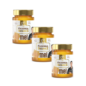 Combo Mel Flores do Campo Vidro 450g Fazenda Sedrez - 3 unid